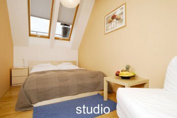 Apartments Wenceslas Square 36